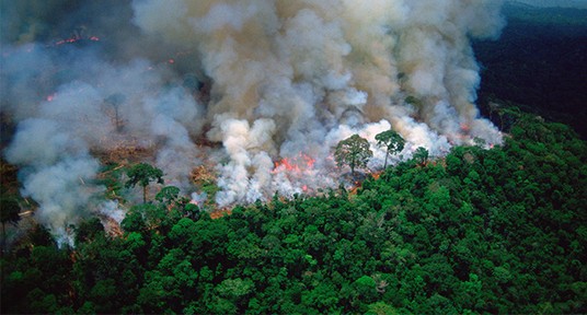 Incendie dans la forĂŞt amazonienne
